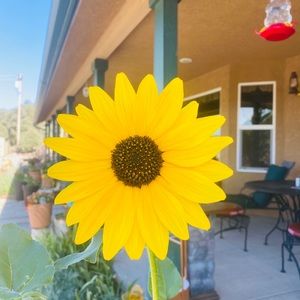 Meet your Posher, Madeline